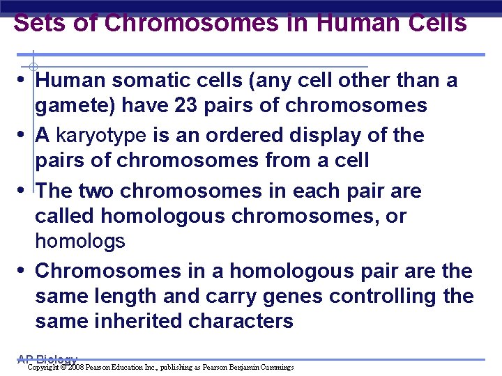 Sets of Chromosomes in Human Cells • Human somatic cells (any cell other than