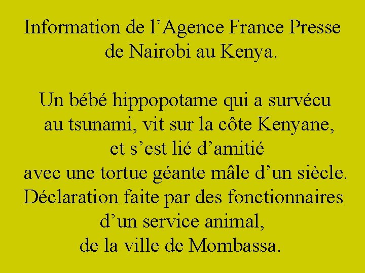 Information de l’Agence France Presse de Nairobi au Kenya. Un bébé hippopotame qui a