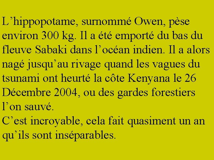 L’hippopotame, surnommé Owen, pèse environ 300 kg. Il a été emporté du bas du