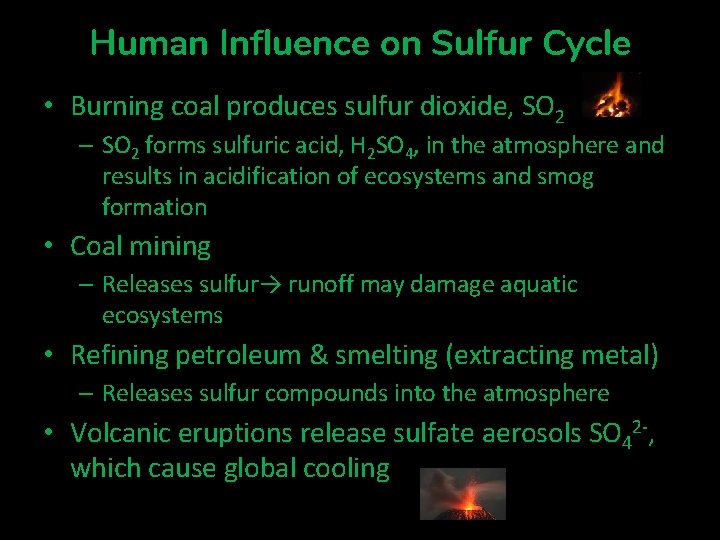 Human Influence on Sulfur Cycle • Burning coal produces sulfur dioxide, SO 2 –