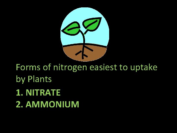 Forms of nitrogen easiest to uptake by Plants 1. NITRATE 2. AMMONIUM 