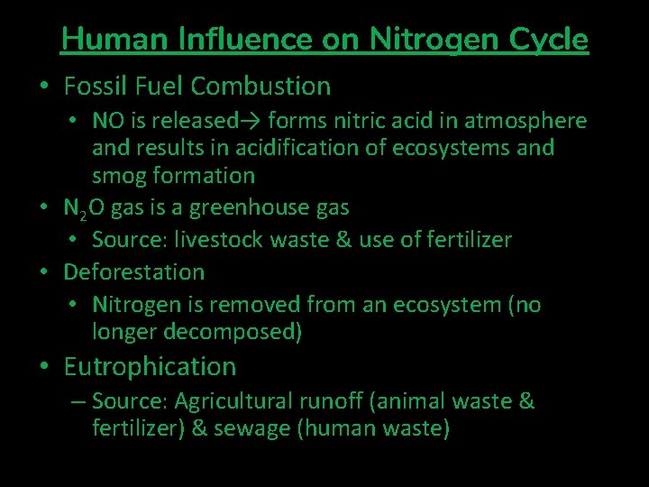 Human Influence on Nitrogen Cycle • Fossil Fuel Combustion • NO is released→ forms