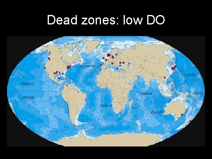 Dead zones: low DO 