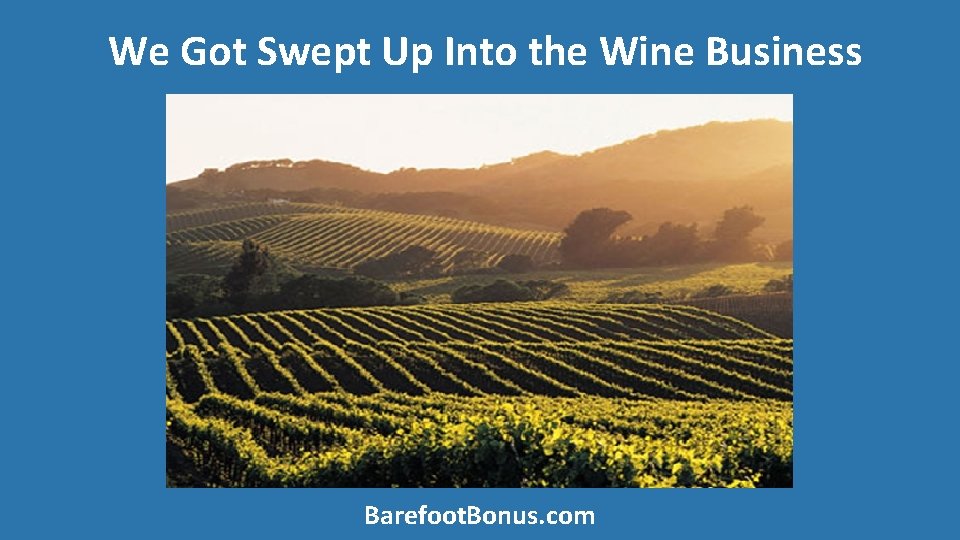 We Got Swept Up Into the Wine Business Barefoot. Bonus. com 