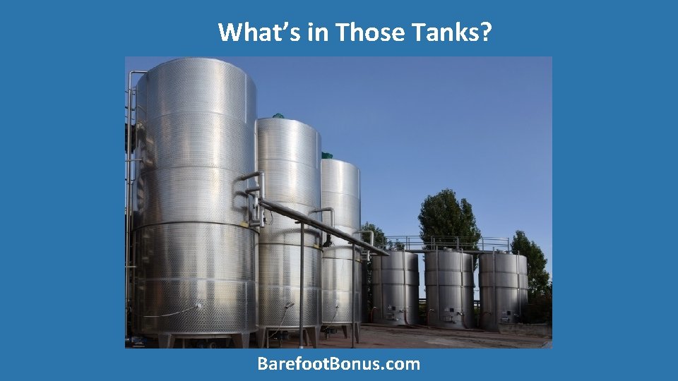 What’s in Those Tanks? Barefoot. Bonus. com 