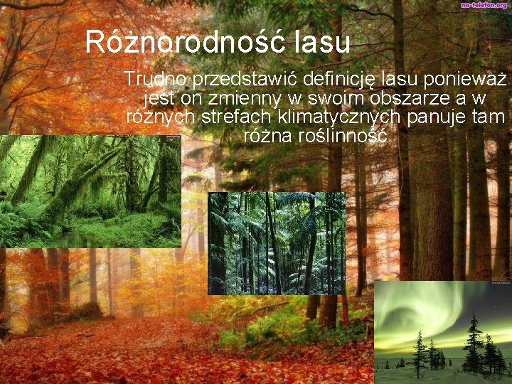 Różnorodność lasu Trudno przedstawić definicję lasu ponieważ jest on zmienny w swoim obszarze a