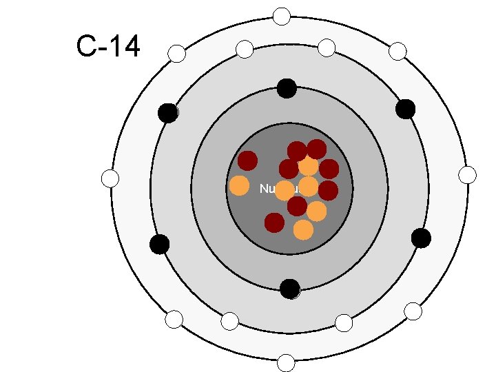 C-14 Nucleus 