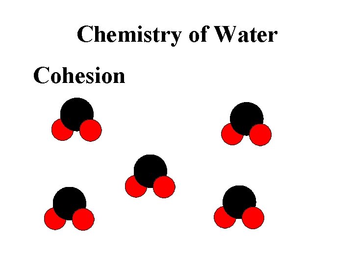 Chemistry of Water Cohesion sticks to other water molecules 