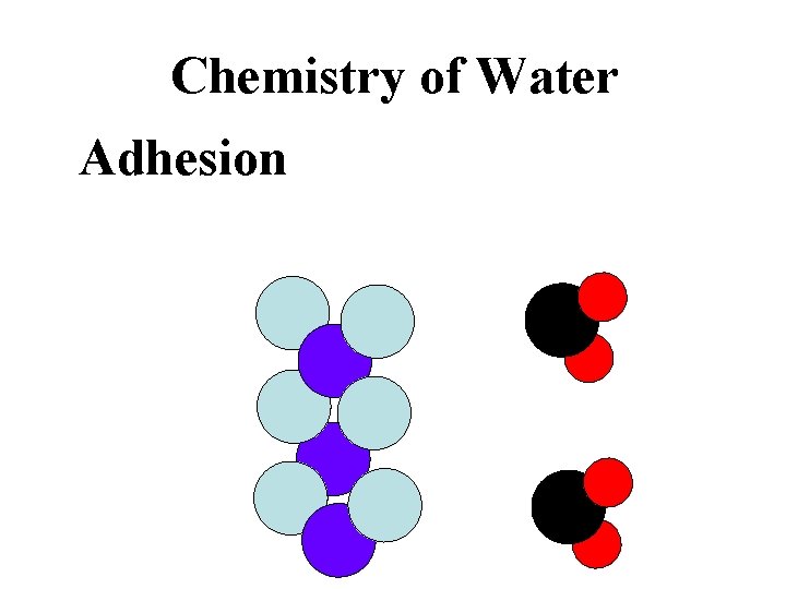 Chemistry of Water Adhesion sticks to other polar molecules 