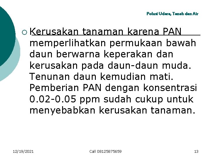 Polusi Udara, Tanah dan Air ¡ Kerusakan tanaman karena PAN memperlihatkan permukaan bawah daun