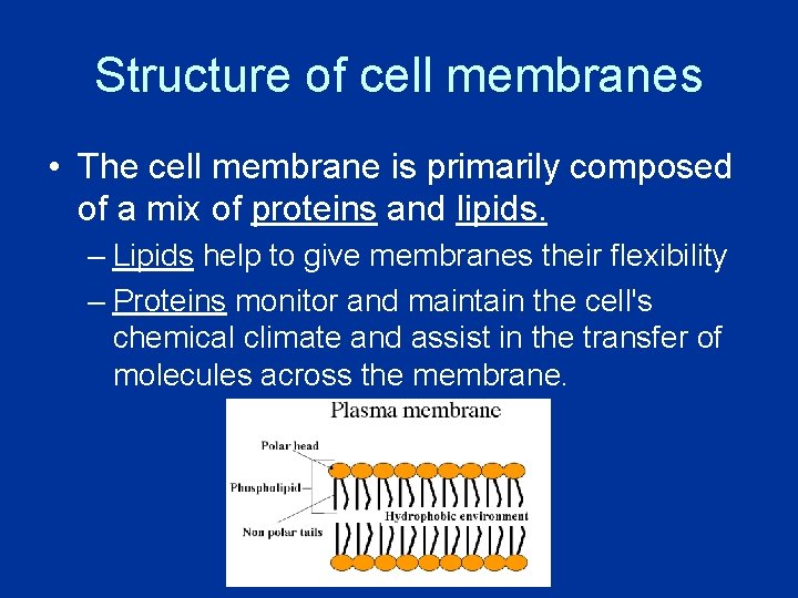 Cell Boundaries and Transport Objectives Explain the role