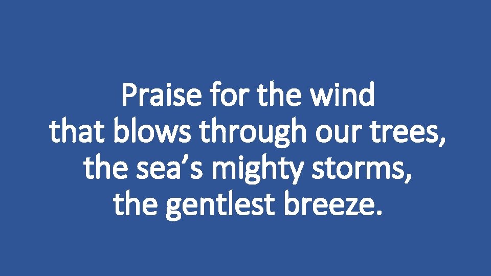 Praise for the wind that blows through our trees, the sea’s mighty storms, the