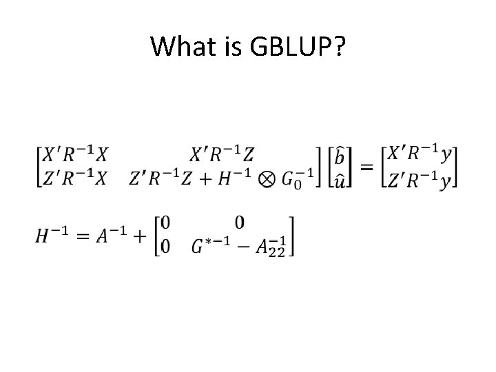What is GBLUP? 