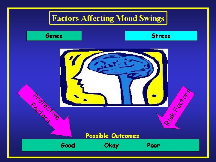 Factors Affecting Mood Swings Genes Stress Ris k. F ac to r s Pr