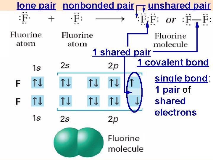 lone pair nonbonded pair unshared pair 1 covalent bond single bond: 1 pair of