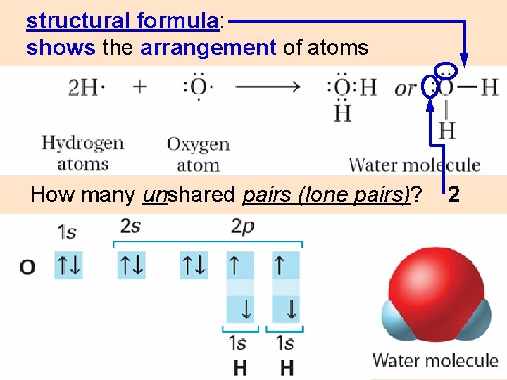 structural formula: shows the arrangement of atoms How many unshared pairs (lone pairs)? 2