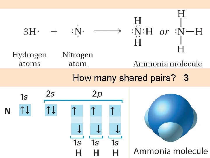 How many shared pairs? 3 