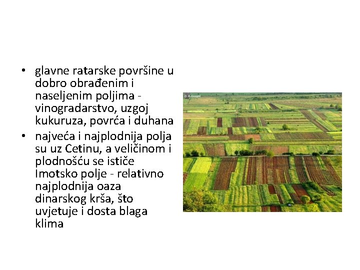  • glavne ratarske površine u dobro obrađenim i naseljenim poljima vinogradarstvo, uzgoj kukuruza,