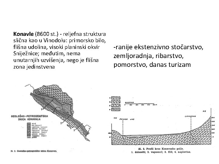 Konavle (8600 st. ) - reljefna struktura slična kao u Vinodolu: primorsko bilo, flišna