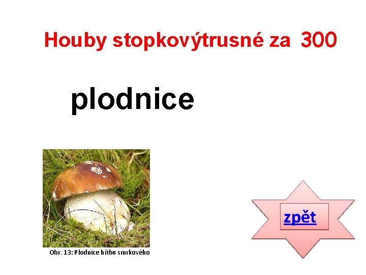 Houby stopkovýtrusné za 300 plodnice zpět Obr. 13: Plodnice hřibu smrkového 