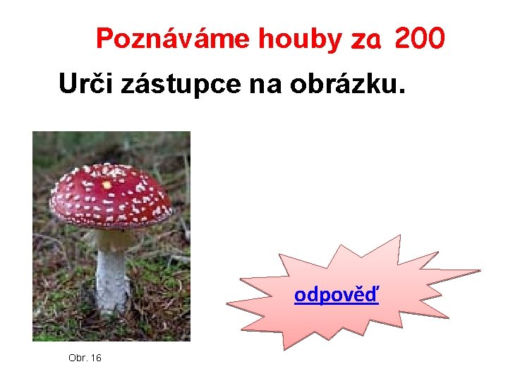 Poznáváme houby za 200 Urči zástupce na obrázku. odpověď Obr. 16 