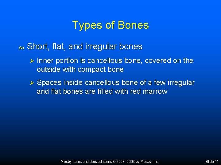Types of Bones Short, flat, and irregular bones Ø Inner portion is cancellous bone,