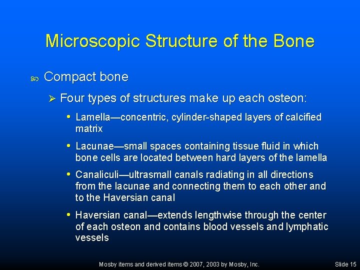 Microscopic Structure of the Bone Compact bone Ø Four types of structures make up