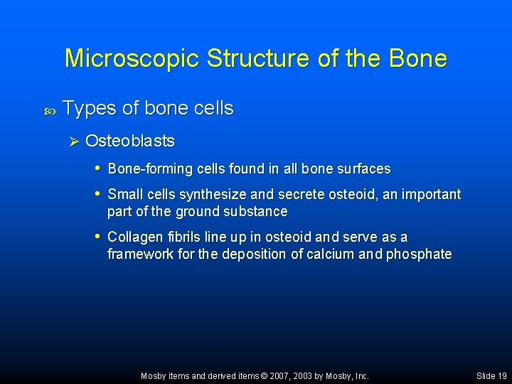 Microscopic Structure of the Bone Types of bone cells Ø Osteoblasts • Bone-forming cells