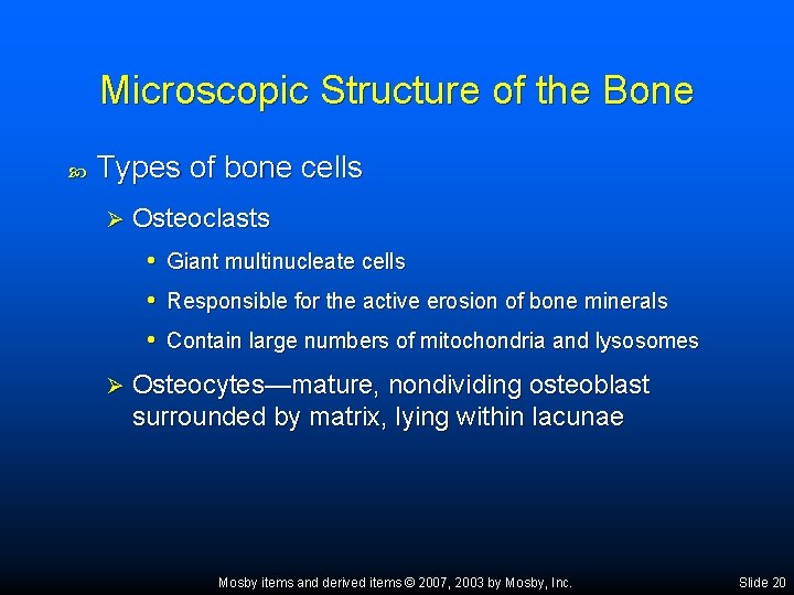 Microscopic Structure of the Bone Types of bone cells Ø Osteoclasts • Giant multinucleate