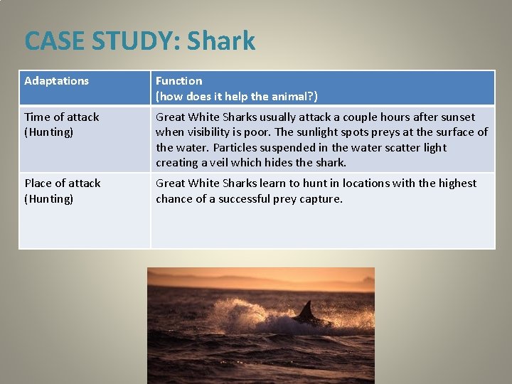 CASE STUDY: Shark Adaptations Function (how does it help the animal? ) Time of CASE STUDY: Shark Adaptations Function (how does it help the animal? ) Time of
