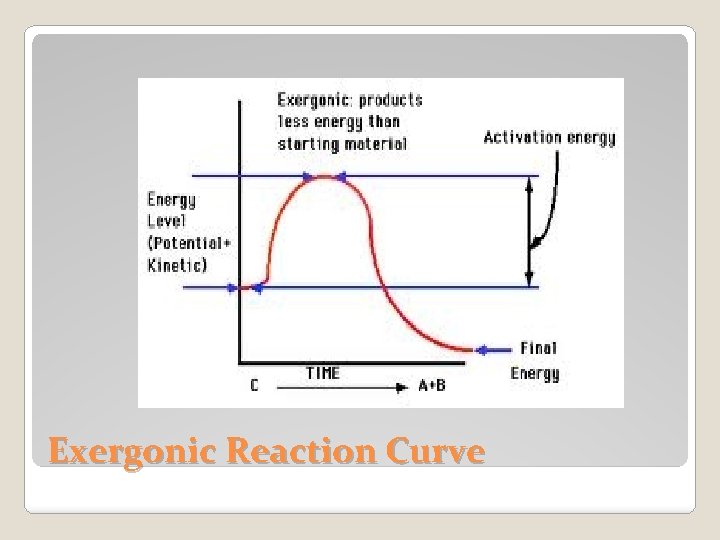 Exergonic Reaction Curve 