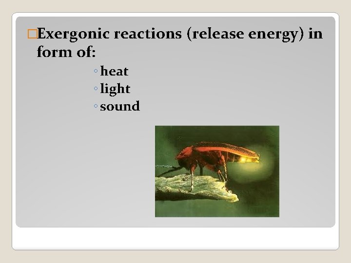 �Exergonic reactions (release energy) in form of: ◦ heat ◦ light ◦ sound 