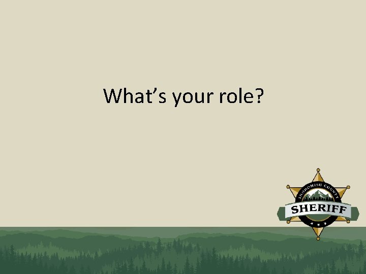 What’s your role? 