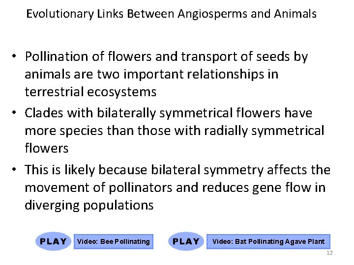 Evolutionary Links Between Angiosperms and Animals • Pollination of flowers and transport of seeds