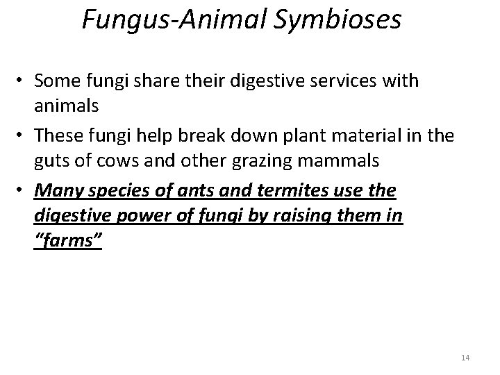 Fungus-Animal Symbioses • Some fungi share their digestive services with animals • These fungi
