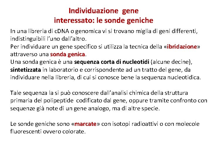 Individuazione gene interessato: le sonde geniche In una libreria di c. DNA o genomica