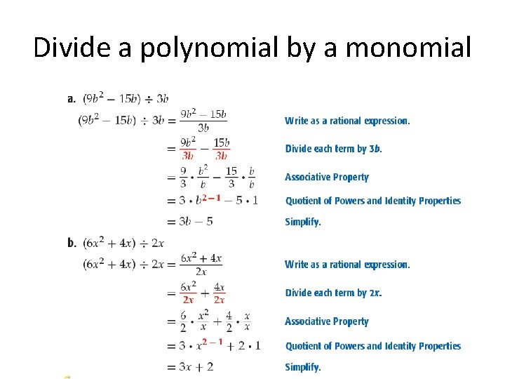 Divide a polynomial by a monomial 