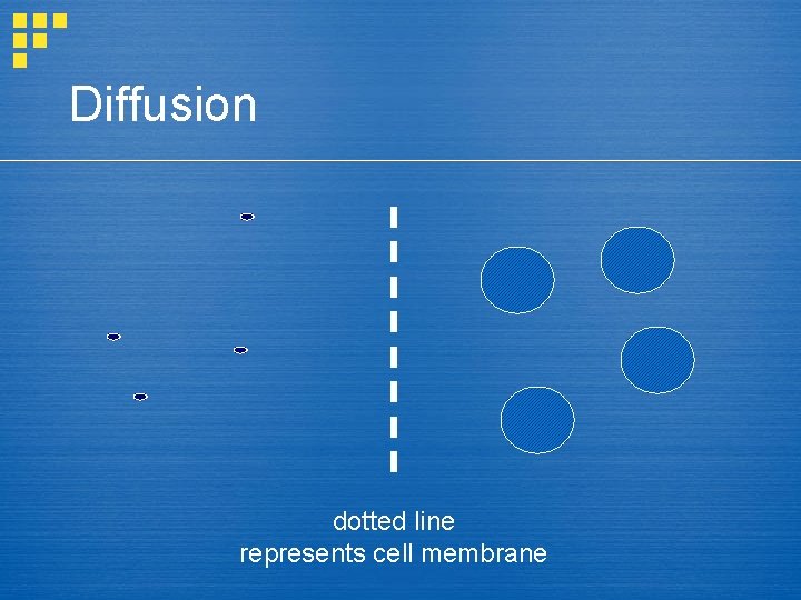 Diffusion dotted line represents cell membrane 
