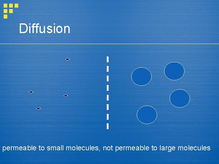 Diffusion permeable to small molecules, not permeable to large molecules 
