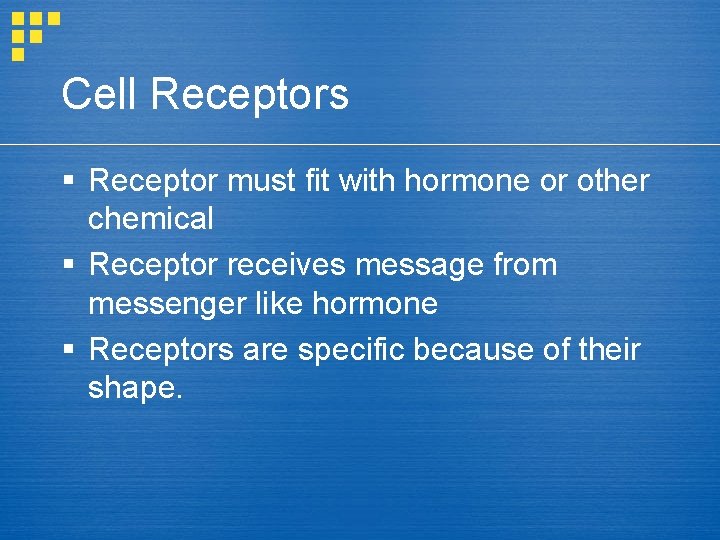 Cell Receptors § Receptor must fit with hormone or other chemical § Receptor receives