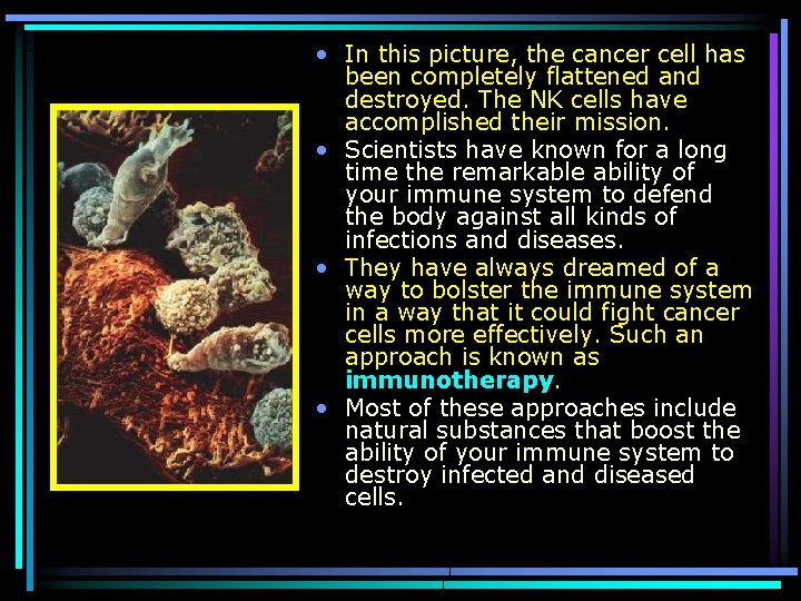  • In this picture, the cancer cell has been completely flattened and destroyed.