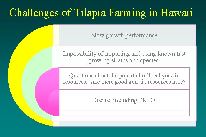 Challenges of Tilapia Farming in Hawaii Slow growth performance Impossibility of importing and using