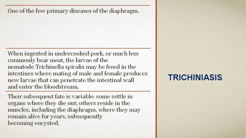 One of the few primary diseases of the diaphragm. When ingested in undercooked pork,