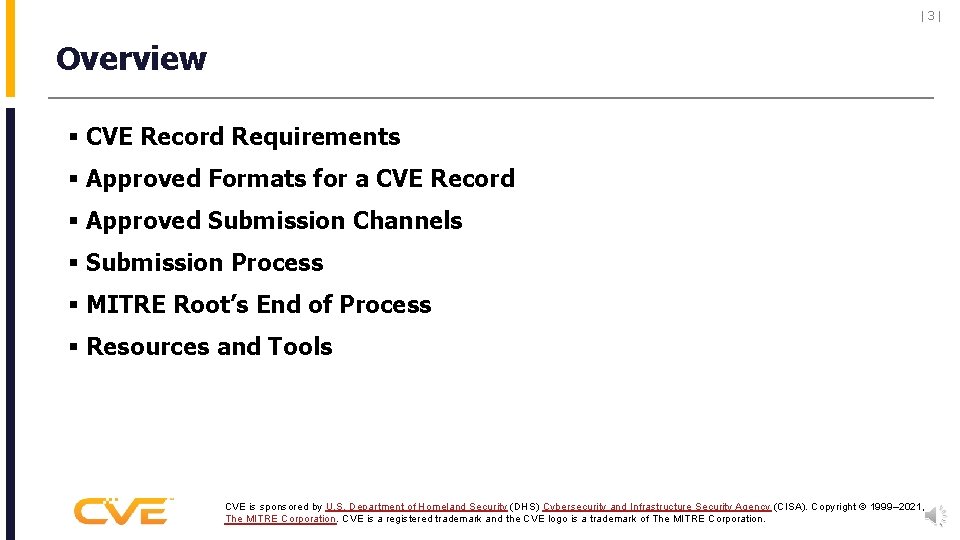 |3| Overview § CVE Record Requirements § Approved Formats for a CVE Record §