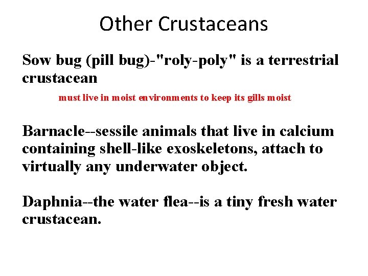 Other Crustaceans Sow bug (pill bug)-"roly-poly" is a terrestrial crustacean must live in moist