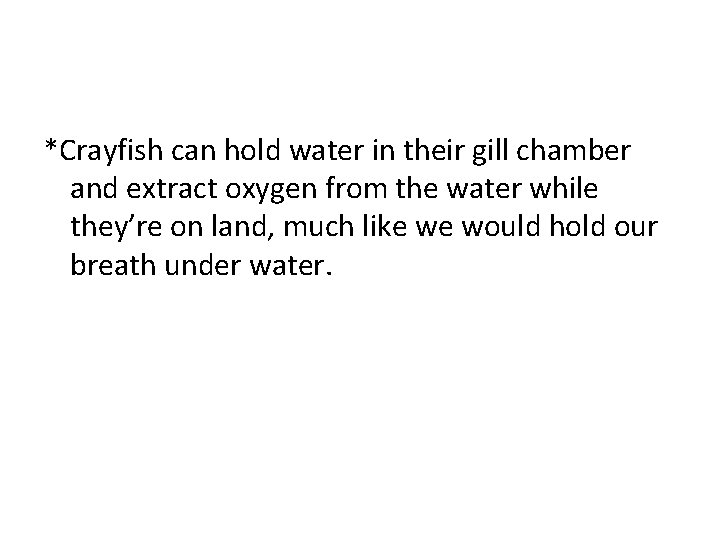 *Crayfish can hold water in their gill chamber and extract oxygen from the water