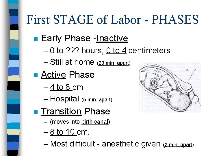 First STAGE of Labor - PHASES n Early Phase -Inactive – 0 to ?