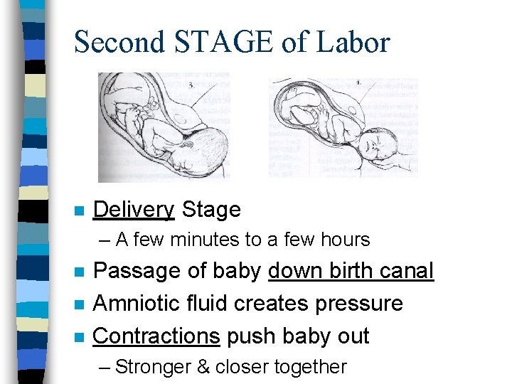 Second STAGE of Labor n Delivery Stage – A few minutes to a few