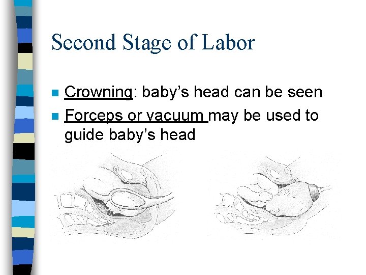 Second Stage of Labor n n Crowning: baby’s head can be seen Forceps or