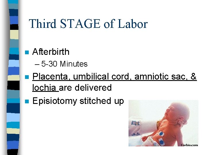 Third STAGE of Labor n Afterbirth – 5 -30 Minutes n n Placenta, umbilical